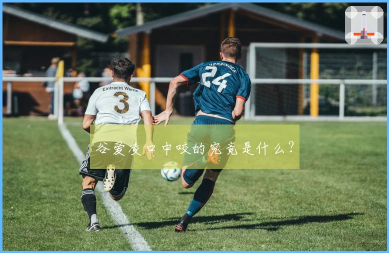谷爱凌口中咬的究竟是什么？