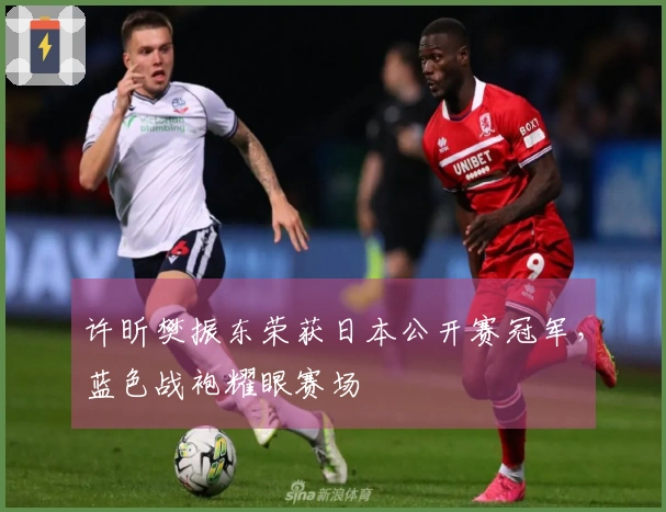 许昕樊振东荣获日本公开赛冠军，蓝色战袍耀眼赛场